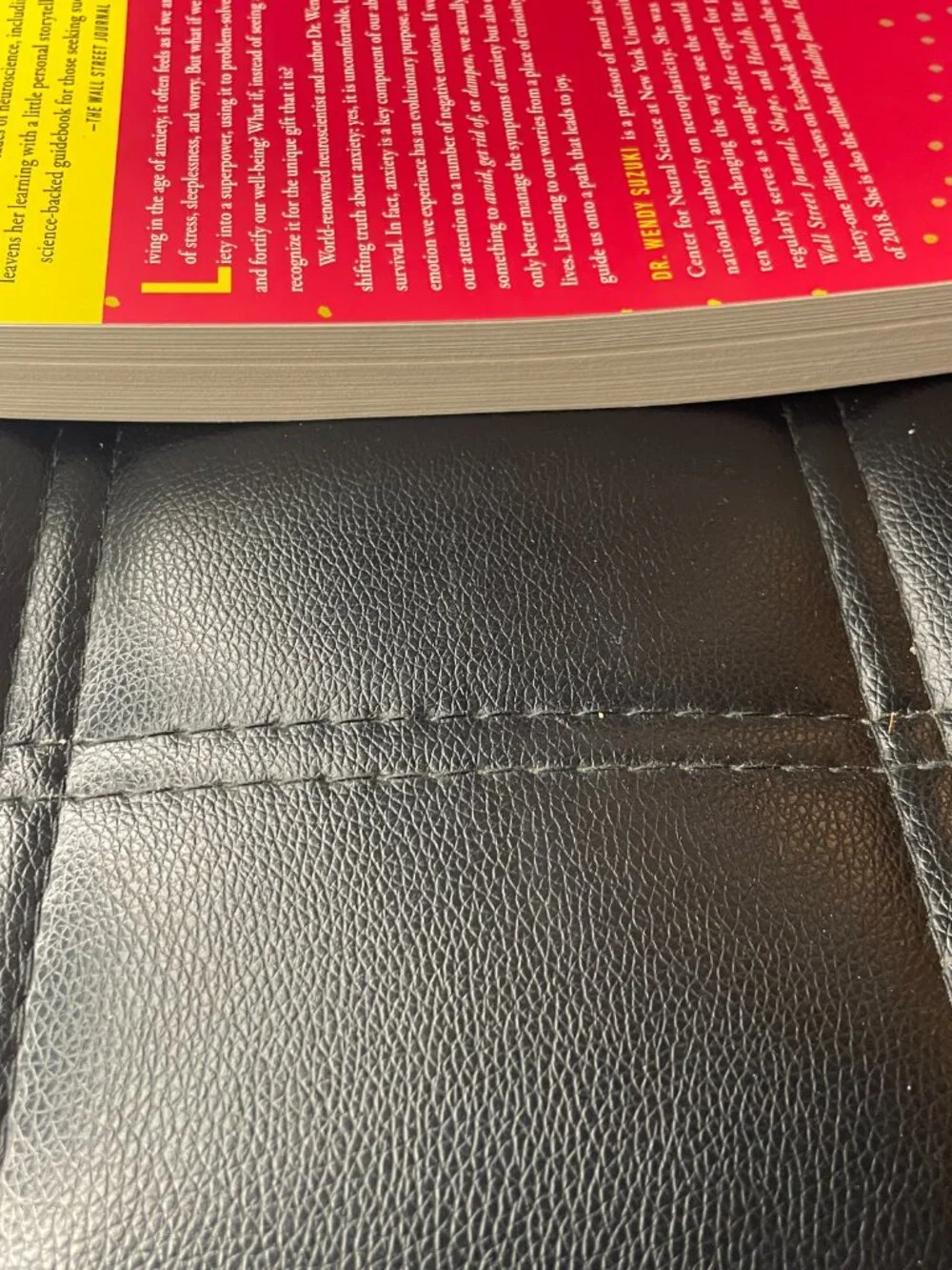 Good Anxiety: Harnessing the Power of the Most Misunderstood Emotion Paperback